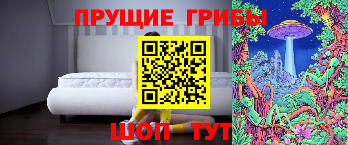 Псилоцибиновые грибы Cubensis Заволжье