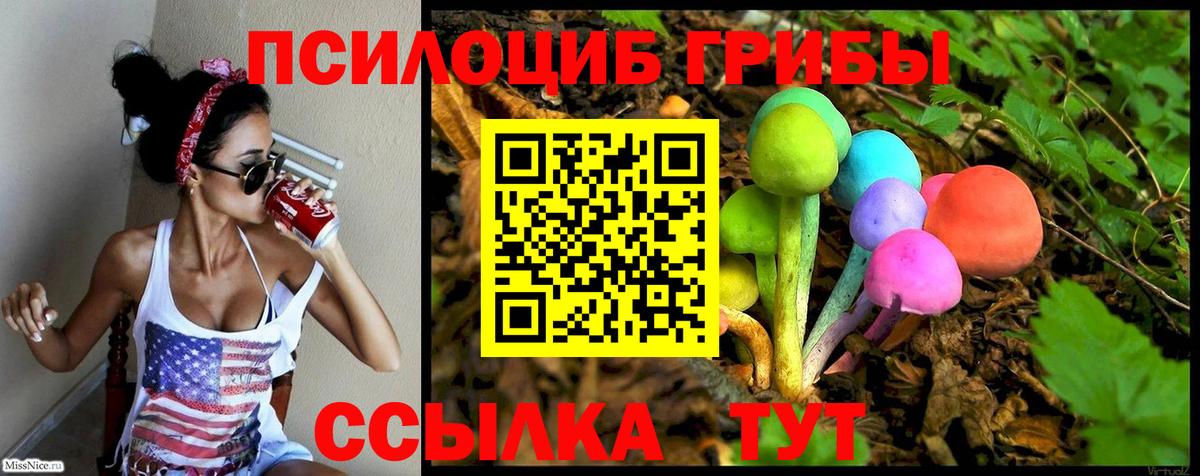 Псилоцибиновые грибы мухоморы  Псилоцибиновые грибы Magic Shrooms  Заволжье  Вход с VPN 